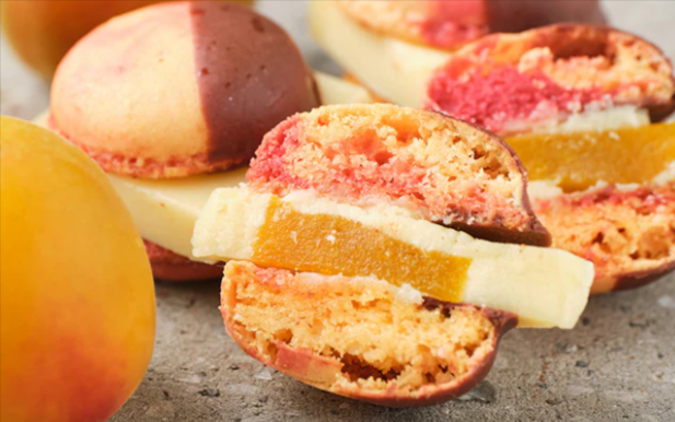 MAMEIL-–-MAMEIL-NAMA-CHOCOLATE-MACARON-マメイル-生チョコレートマカロン専門店-01-25-2026_08_41_PM