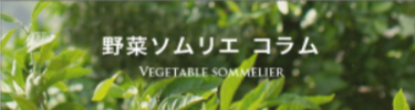 みかんの種類で選ぶ-愛媛みかん-ミヤモトオレンジガーデン-本店-04-18-2026_09_32_PM